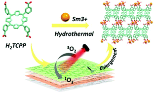 Graphical abstract: A small-sized and stable 2D metal–organic framework: a functional nanoplatform for effective photodynamic therapy