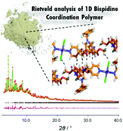 Graphical abstract: Ab initio powder X-ray diffraction structural analysis of bispidine based 1D coordination polymers: insights into their guest responsive behaviour