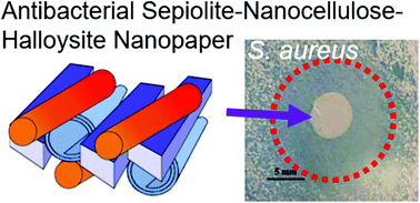 Graphical abstract: Functional biohybrid materials based on halloysite, sepiolite and cellulose nanofibers for health applications