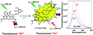 Graphical abstract: A rhodamine based biocompatible chemosensor for Al3+, Cr3+ and Fe3+ ions: extraordinary fluorescence enhancement and a precursor for future chemosensors