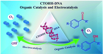 Graphical abstract: Cobalt tungsten oxide hydroxide hydrate (CTOHH) on DNA scaffold: an excellent bi-functional catalyst for oxygen evolution reaction (OER) and aromatic alcohol oxidation