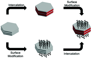 Graphical abstract: Combination of intercalation and surface modification in layered zirconium phosphates: investigation of surface stability and reactivity
