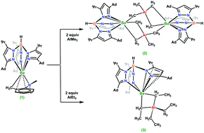 Graphical abstract: Barium tetraalkylaluminate complexes supported by the super-bulky hydrotris(pyrazolyl)borate ligand