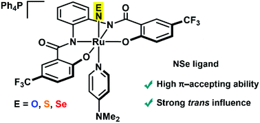 Graphical abstract: Synthesis and properties of anionic ruthenium thionitrosyl and selenonitrosyl complexes that contain tetraanionic 2-hydroxybenzamidobenzene ligands