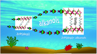 Graphical abstract: A new challenge for nanocrystalline α-zirconium phosphate: reaction with a diepoxyalkane