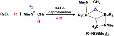 Graphical abstract: Synthesis of a dinuclear europium(iii) complex through deprotonation and oxygen-atom transfer of trimethylamine N-oxide