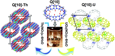 Graphical abstract: Thorium(iv) and uranium(vi) compounds of cucurbit[10]uril: from a one-dimensional nanotube to a supramolecular framework
