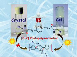 Graphical abstract: Solid or gel? Which one works better for [2 + 2] photochemical polymerization in pyridine appended flexible phenylene 1, 4-bis-olefins by Ag(i) templation?
