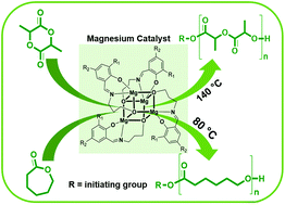 Graphical abstract: Syntheses, structures and catalytic activity of tetranuclear Mg complexes in the ROP of cyclic esters under industrially relevant conditions