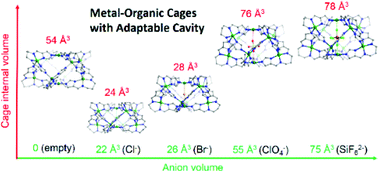 Graphical abstract: Coordination-driven self-assembly of M10L8 metal–organic bi-capped square antiprisms with adaptable cavities