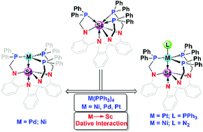 Graphical abstract: Heterobimetallic scandium–group 10 metal complexes with LM → Sc (LM = Ni, Pd, Pt) dative bonds