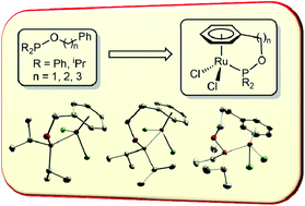 Graphical abstract: Half-sandwich ruthenium(ii) complexes with tethered arene-phosphinite ligands: synthesis, structure and application in catalytic cross dehydrogenative coupling reactions of silanes and alcohols