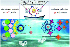Graphical abstract: A novel self-assembled Na{Cu12Zn4} multifunctional material: first report of a discrete coordination compound for detection of Ca2+ ions and selective adsorption of cationic dyes in water
