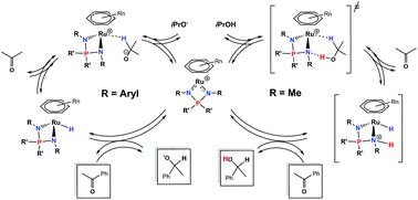 Graphical abstract: Mechanistic diversity in acetophenone transfer hydrogenation catalyzed by ruthenium iminophosphonamide complexes