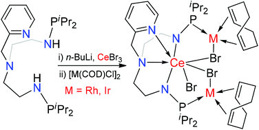 Graphical abstract: Isolation of heterometallic cerium(iii) complexes with a multidentate nitrogen–phosphorus ligand