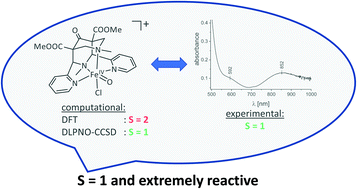 Graphical abstract: Spin state and reactivity of iron(iv)oxido complexes with tetradentate bispidine ligands
