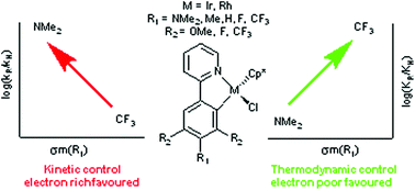 Graphical abstract: Steric and electronic effects on acetate-assisted cyclometallation of 2-phenylpyridines at [MCl2Cp*]2 (M = Ir, Rh)