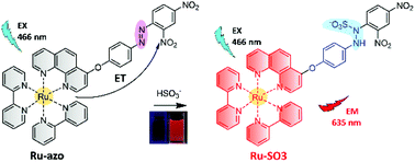 Graphical abstract: Responsive ruthenium complex probe for phosphorescence and time-gated luminescence detection of bisulfite