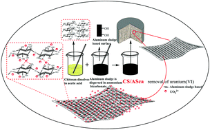 Graphical abstract: Efficiency and mechanism of adsorption of low-concentration uranium from water by a new chitosan/aluminum sludge composite aerogel
