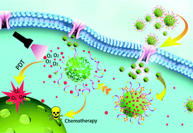 Graphical abstract: A versatile and multifunctional metal–organic framework nanocomposite toward chemo-photodynamic therapy