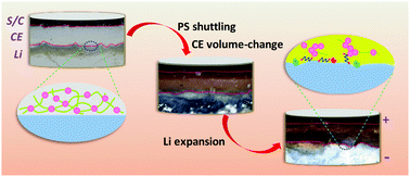 Graphical abstract: Direct tracking of the polysulfide shuttling and interfacial evolution in all-solid-state lithium–sulfur batteries: a degradation mechanism study