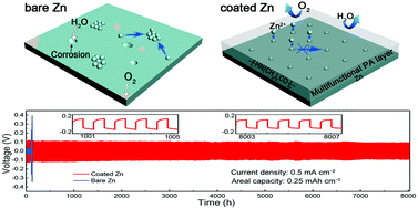 Graphical abstract: Long-life and deeply rechargeable aqueous Zn anodes enabled by a multifunctional brightener-inspired interphase