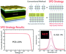 Graphical abstract: An interface stabilized perovskite solar cell with high stabilized efficiency and low voltage loss