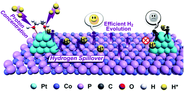 Graphical abstract: Ethylene-glycol ligand environment facilitates highly efficient hydrogen evolution of Pt/CoP through proton concentration and hydrogen spillover