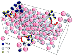 Graphical abstract: Degradation of iridium oxides via oxygen evolution from the lattice: correlating atomic scale structure with reaction mechanisms