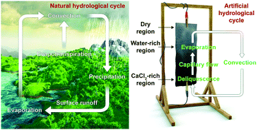 Graphical abstract: Self-operating transpiration-driven electrokinetic power generator with an artificial hydrological cycle