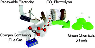 Graphical abstract: Oxygen-tolerant electroproduction of C2 products from simulated flue gas