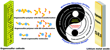 Graphical abstract: Structure-related electrochemical performance of organosulfur compounds for lithium–sulfur batteries