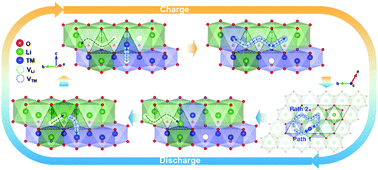 Graphical abstract: A new lithium diffusion model in layered oxides based on asymmetric but reversible transition metal migration