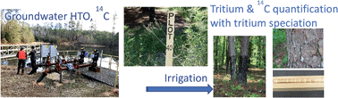 Graphical abstract: Assimilation and transport of organic bound tritium in an irrigated pine forest