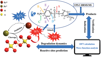 Graphical abstract: Sulfamethoxazole degradation by an Fe(ii)-activated persulfate process: insight into the reactive sites, product identification and degradation pathways