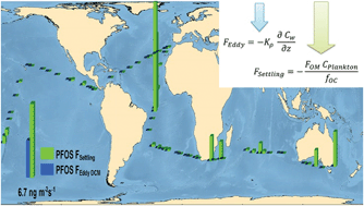 Graphical abstract: Vertical transport and sinks of perfluoroalkyl substances in the global open ocean