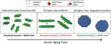 Graphical abstract: Emerging investigator series: interdependency of green rust transformation and the partitioning and binding mode of arsenic