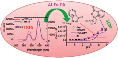 Graphical abstract: Delineating the influence of picolinic acid on Eu(iii) sorption by γ-alumina