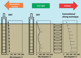 Graphical abstract: Comparison of DET, DGT and conventional porewater extractions for determining nutrient profiles and cycling in stream sediments