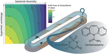 Graphical abstract: Using recirculating flumes and a response surface model to investigate the role of hyporheic exchange and bacterial diversity on micropollutant half-lives