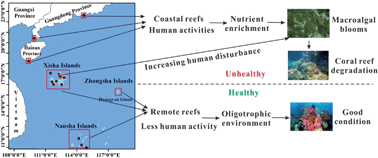 Graphical abstract: Potential impacts of anthropogenic nutrient enrichment on coral reefs in the South China Sea: evidence from nutrient and chlorophyll a levels in seawater