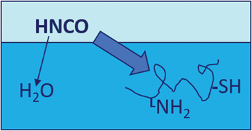 Graphical abstract: Comment on “Isocyanic acid (HNCO) and its fate in the atmosphere: a review” by M. D. Leslie, M. Ridoli, J. G. Murphy and N. Borduas-Dedekind, Environ. Sci.: Processes Impacts, 2019, 21, 793