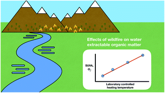 Graphical abstract: Use of optical properties for evaluating the presence of pyrogenic organic matter in thermally altered soil leachates