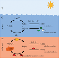 Graphical abstract: Photochemistry of iron in aquatic environments