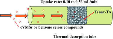 Graphical abstract: Tube-type passive sampling of cyclic volatile methyl siloxanes (cVMSs) and benzene series simultaneously in indoor air: uptake rate determination and field application
