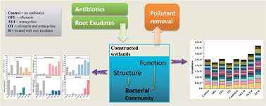 Graphical abstract: Effects of antibiotics on microbial community structure and microbial functions in constructed wetlands treated with artificial root exudates