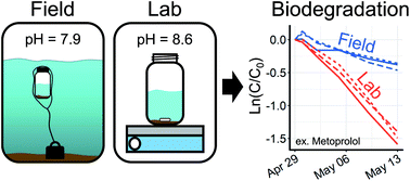 Graphical abstract: A simple field-based biodegradation test shows pH to be an inadequately controlled parameter in laboratory biodegradation testing