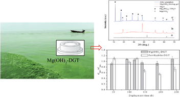 Graphical abstract: A novel Mg(OH)2 binding layer-based DGT technique for measuring phosphorus in water and sediment