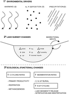 Graphical abstract: Cross-ecosystem nutrient subsidies in Arctic and alpine lakes: implications of global change for remote lakes