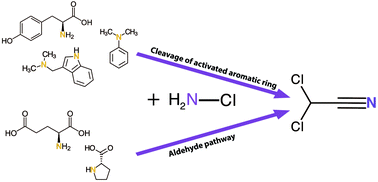 Graphical abstract: Halogenated semivolatile acetonitriles as chloramination disinfection by-products in water treatment: a new formation pathway from activated aromatic compounds